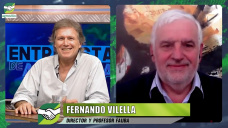 Oportunidades campo - país analizadas por 20 especialistas en el Simposio Del Sur al Mundo; con Fernando Vilella - UBA