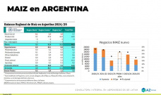 Maíz: Al precio del cereal argentino lo ayuda el dólar y el clima; con Lorena D´Angelo - Clínica de Granos
