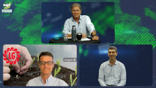 ¿Hacía donde orientan la investigación en semillas de Maíz las empresas?; con T. Reynal e I. Martínez - Limagrain