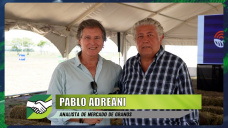 Cómo optimizar las ventas de Maíz y Soja tempranas y tardías; con Pablo Adreani