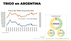 Trigo: El cereal se siembra, pero hay excesos de humedad; con Lorena D´Angelo - Clínica de Granos