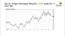 Trigo: Los precios no encuentran sostén en el mercado internacional, con Paulina Lescano - Clínica de Granos