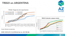 Trigo: Mucho cereal ya comercializado por la demanda de exportación, con Lorena D´Angelo - Clínica de Granos