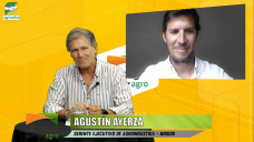 Los 4 pilares de Mirgor en producción agropecuaria y exportaciones; con Agustín Ayerza - agrónomo