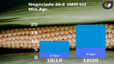 Maíz: los mercados internacionales no ayudan... pero ahora lo mas importante es que lleguen lluvias!, con Paulina Lescano - Clínica de Granos