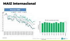 Por buenas perspectivas de siembra 25/26, baja el Maíz nuevo; con Lorena D´Angelo - Clínica de Granos