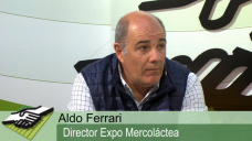 TV: ¿Podrá verse un contexto positivo para la lechería en Mercoláctea?; con A. Ferrari