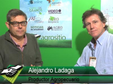 TV: “A los productores el anuncio en Trigo no nos mueve el amperímetro”; con A. Ladaga - Productor