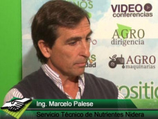 TV: Ajustando bien la fertilización sin limitarnos solo a nitrógeno y fósforo; con M. Palese - Nidera Nutrientes