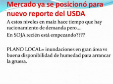 TV: Precios de Maíz en 