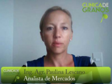 TV: ¿Hasta cuando la Soja seguirá con buen soporte?, por Paulina Lescano - Clínica de Granos