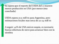 TV: ¿En el Maíz, podrá el reporte del USDA revertir la tendencia?, por Paulina Lescano - Clínica de Granos