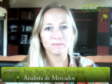 TV: ¿Para la Soja, altas temperaturas y pocas lluvias?, por Paulina Lescano - Clínica de Granos