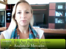 TV: ¿Qué le va a pasar al Maíz los próximos meses?