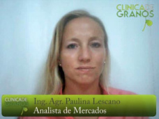 TV: La Soja sigue en el sube y baja, ¿hasta cuando?, por Paulina Lescano - Clínica de Granos