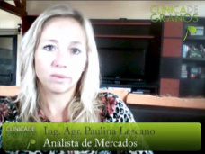 TV: ¡La Soja julio en Chicago sigue con fuerza!, por Paulina Lescano - Clínica de Granos