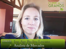 TV: ¿Soja en Chicago sigue firme o perdiendo fuerza?, por Paulina Lescano - Clínica de Granos
