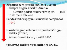 TV: En el Maíz, ¿Dónde está el soporte?, por Paulina Lescano - Clínica de Granos