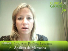 TV: ¿Qué nos marca en precios el USDA para el Maíz?; con Paulina Lescano - Clínica de Granos