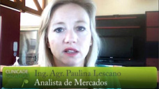 TV: ¿Qué pasará con la Soja si la presión de cosecha en USA ya terminó?; con Paulina Lescano - Clínica de Granos