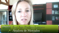 TV: ¿Soja, el 300 es el número mas esperado?