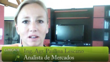 TV: Soja,  por favor  Papa Noel traénos lluvias!!!; con Paulina Lescano - Clínica de Granos