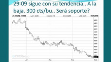 TV:  Maíz cosechon a pleno....¿y la demanda?; con Paulina Lescano - Clínica de Granos