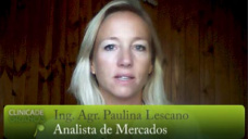 TV: Soja y un 2014 con bajas del 7%, pero ¿Qué podemos esperar después del SUPER cierre del lunes?; con Paulina Lescano- Clínica de Granos