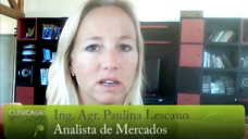 TV: Soja: otra semana con bajas? Hasta cuando?; con Paulina Lescano - Clínica de Granos