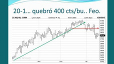 TV: Maíz: al igual que la soja, en los mínimos de 5 años, por cuanto tiempo? - con Paulina Lescano - Clínica de Granos