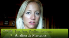 TV: ¿La Soja podrá cerrar dos semanas en suba?; con Paulina Lescano - Clinica de Granos