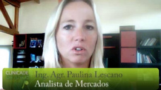 TV: Soja: se sembrarían 34 mill has, 400 mil más que 2014 pero menos que lo esperado por el mercado; con Paulina Lescano - Clínica de Grano