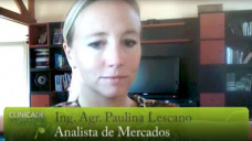 TV: Elevada volatilidad en Chicago, en medio del mercado climático; con Paulina Lescano - Clinica de Granos