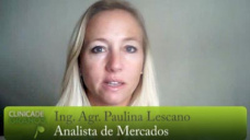 TV: Soja: Chicago continúa operando en base a la mejora del clima; con Paulina Lescano - Clinica de Granos