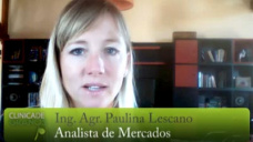 TV: ¿Por qué el reporte del USDA en Soja es tan difícil de digerir?; con Paulina Lescano - Clinica de Granos