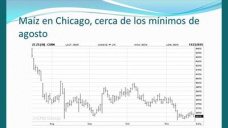 TV: ¿Y el Maíz?, se confirma el cambio, las expectativas crecen; con Paulina Lescano - Clinica de Granos