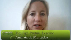 TV: Ya paso el USDA, ¿qué dijo para la Soja?; con Paulina Lescano - Clinica de Granos