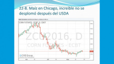TV: ¿Que esta pasando en Chicago con el maíz?; con Paulina Lescano - Clinica de Granos