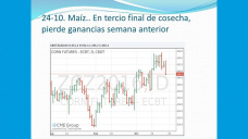 TV: ¿Qué pasó con las subas del maíz en Chicago?