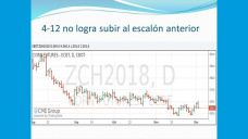 TV: ¿Quién podrá rescatar a los precios del maíz? con Paulina Lescano - Clínica de Granos