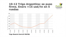 En el Trigo esta vez la estrella es el mercado local; con Paulina Lescano - Clínica de Granos
