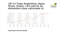 El mercado local del trigo, se toma un respiro, pero después de haber ganado 24 usd/tn durante diciembre; con Paulina Lescano - Clínica de Granos
