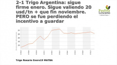 Los precios locales del trigo siguen firmes, sobre el cierre de una cosecha con final incierto; con Paulina Lescano - Clínica de Granos