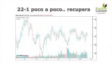 Tenemos que prepararnos para convivir con estos precios del maíz por varios meses?; con Paulina Lescano - Clínica de Granos