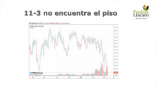 Avanza la cosecha local de maíz, y promete ser muy buena como las primeras estimaciones; con Paulina Lescano - Clínica de Granos