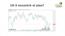 El maíz con mejores perspectivas en el corto plazo dado que encontró su piso en Chicago, con Paulina Lescano - Clínica de Granos