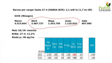Mejores expectativas de producción para el maíz, con buen nivel de ventas al exterior.. ahora que acompañe el clima, con Paulina Lescano - Clínica de Granos