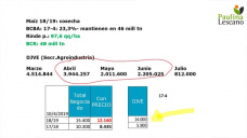 En el maíz, hasta donde se van a vender los fondos especulativos!?, con Paulina Lescano - Clínica de Granos