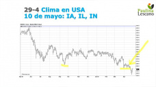 Tras que afuera siguen feos los precios del maíz.. localmente aparecieron rumores, con Paulina Lescano - Clínica de Granos