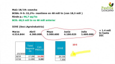 Nuestra cosecha de maíz sigue avanzando a buen paso, mientras que la siembra en EE.UU sigue retrasada, con Paulina Lescano - Clínica de Granos